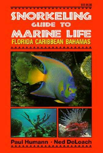 Snorkeling Guide to Marine Life Florida, Caribbean, Bahamas – Paperback – GOOD
