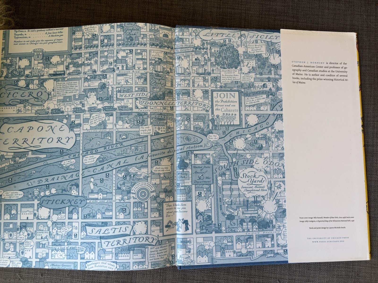 Picturing America: The Golden Age of Pictorial Maps Stephen J. Hornsby HC 2017