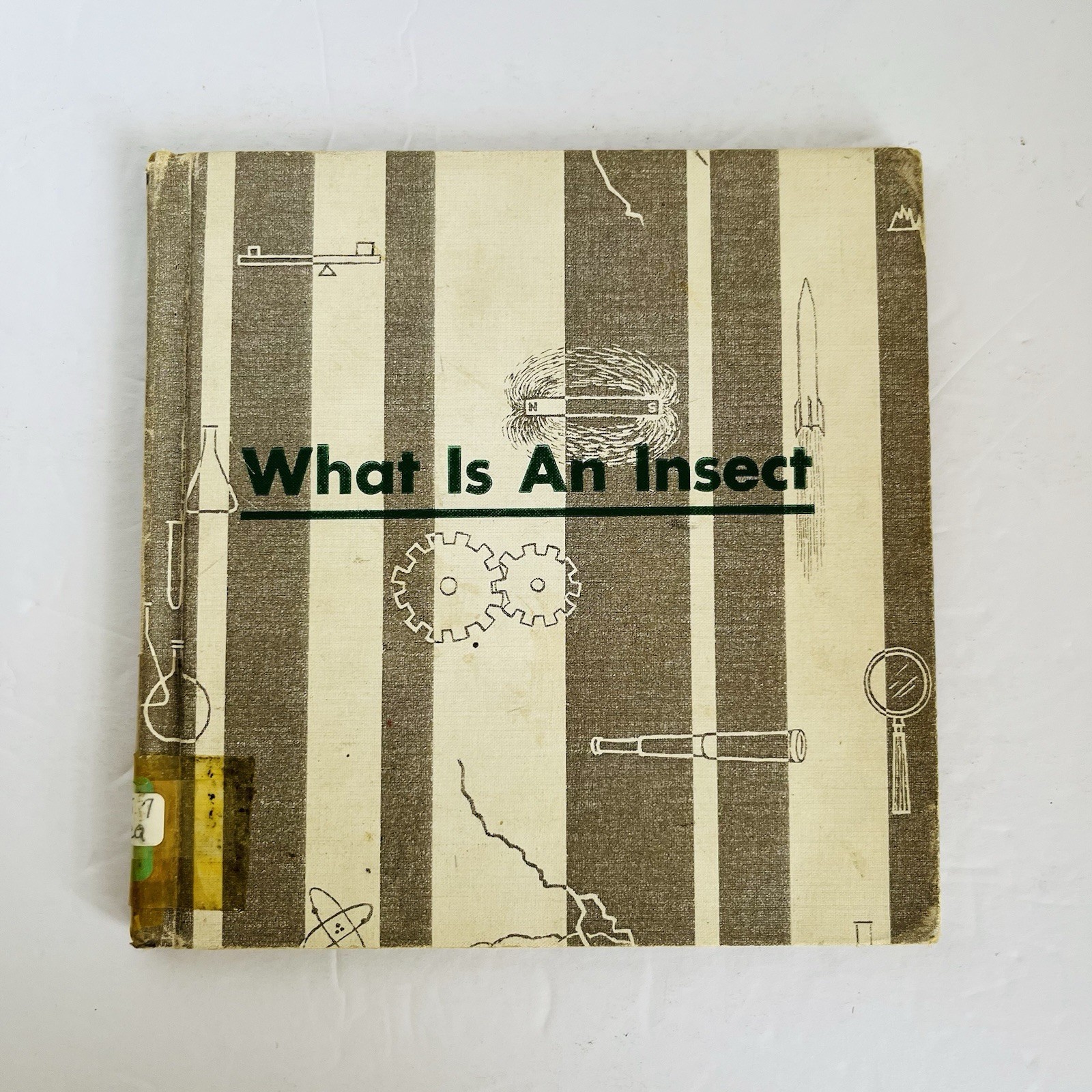 What is An Insect Charles D Neal 1961 Vintage Childrens Science Book Homeschool
