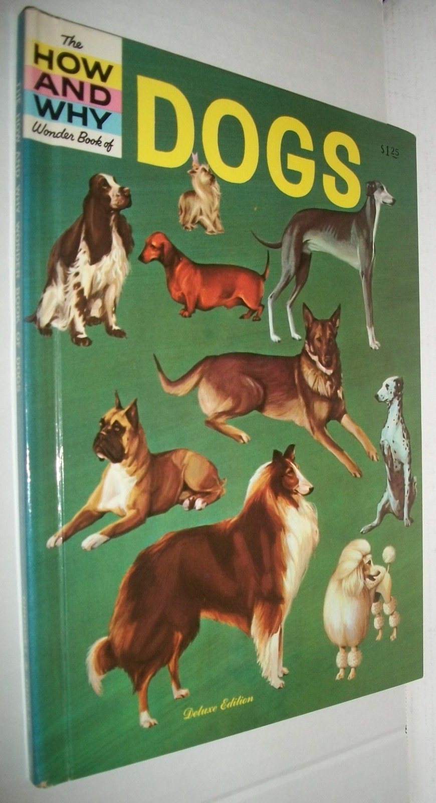 The How and Why Wonder Book of Dogs $1.25 Deluxe Edition G&D 1962 Robbin 4031 EX