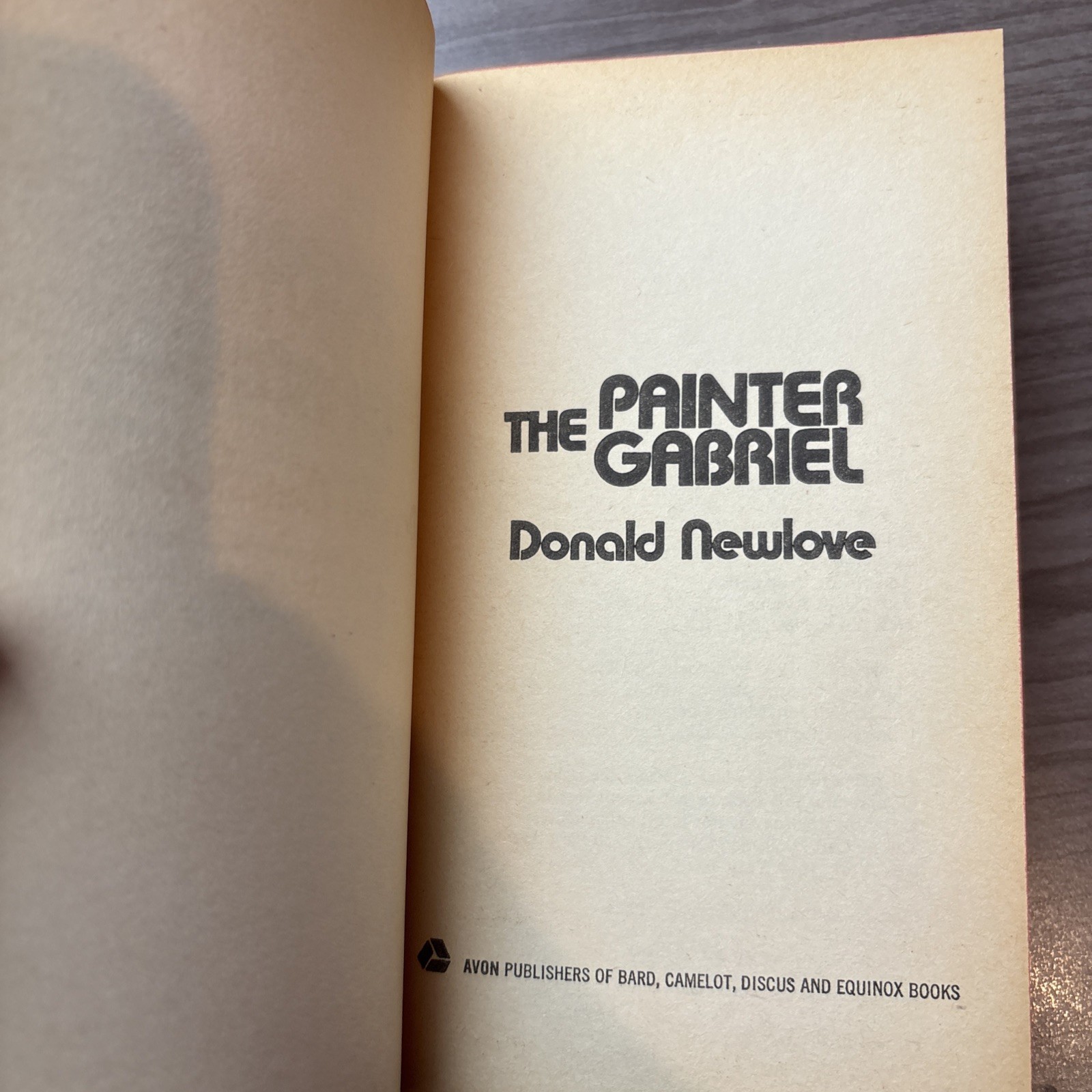 The Painter Gabriel – Donald Newlove Vtg Paperback 1972 1st Avon Printing Rare