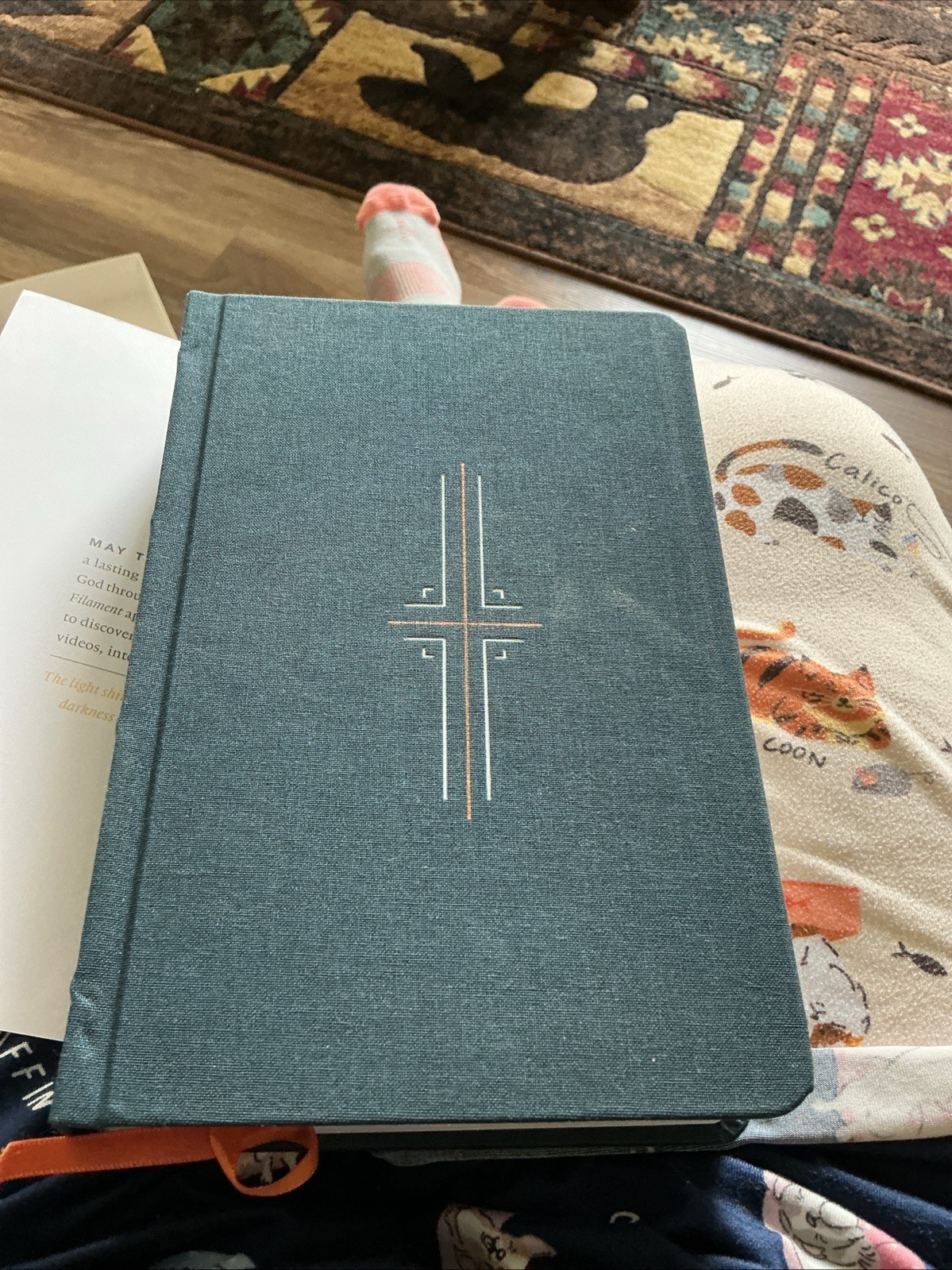 Filament Bible NLT 2-in-1 Print & Digital Bible Book Blue