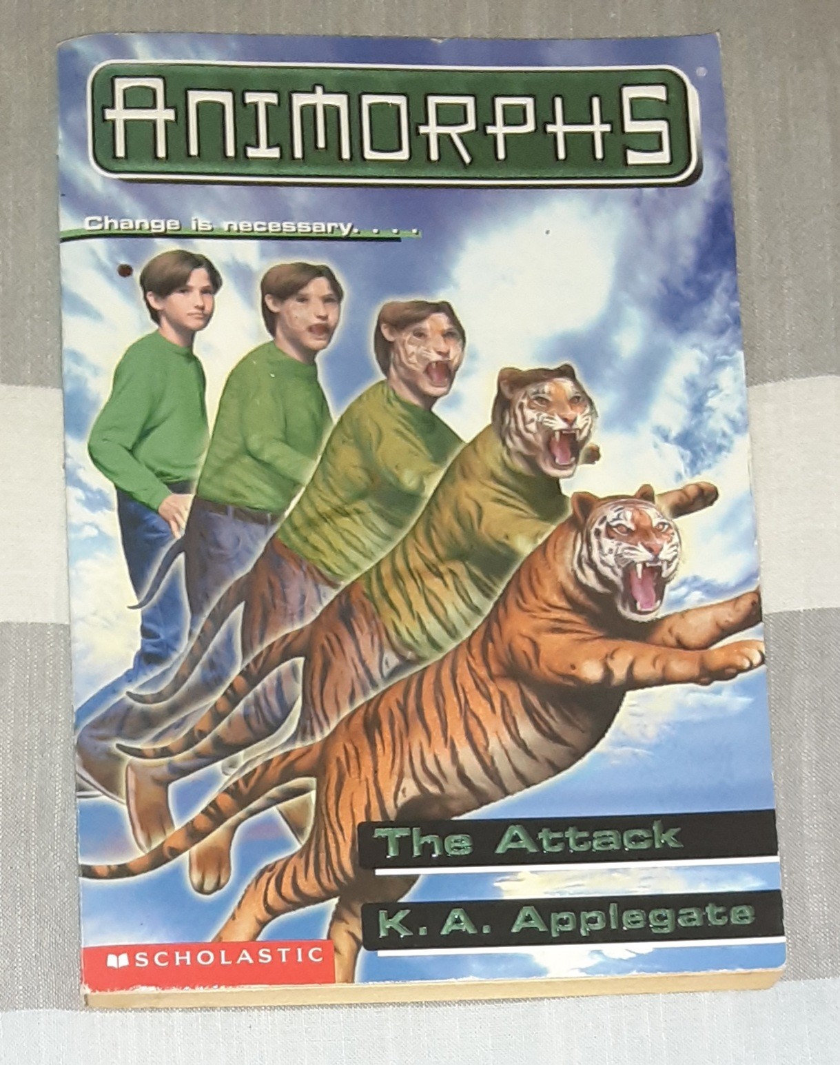 Animorphs Book Lot of 21 (K.A. Applegate, Paperback)