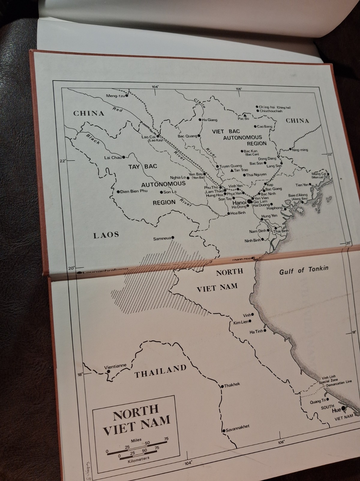 Why Viet Nam? Prelude to America’s Albatross, Archimedes L. A. Patti, Hardcover…