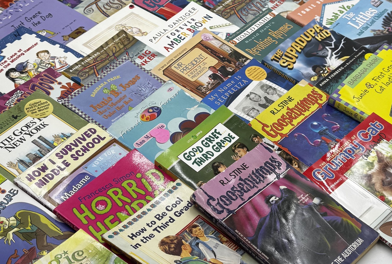 Bulk/Huge Lot of 25 Children’s Kids Chapter Books – Random – Free Shipping!