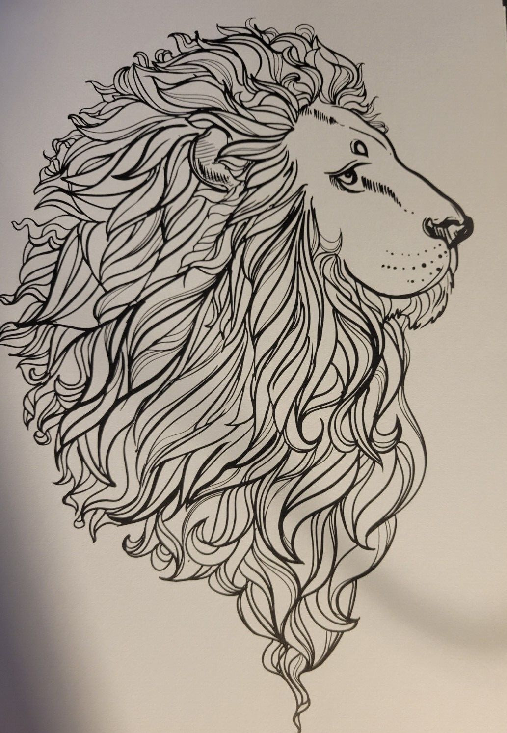 MAGNIFICENT CREATURES Vol 20 – Adult Coloring Book by TOPIX MEDIA – 47 PRINTS