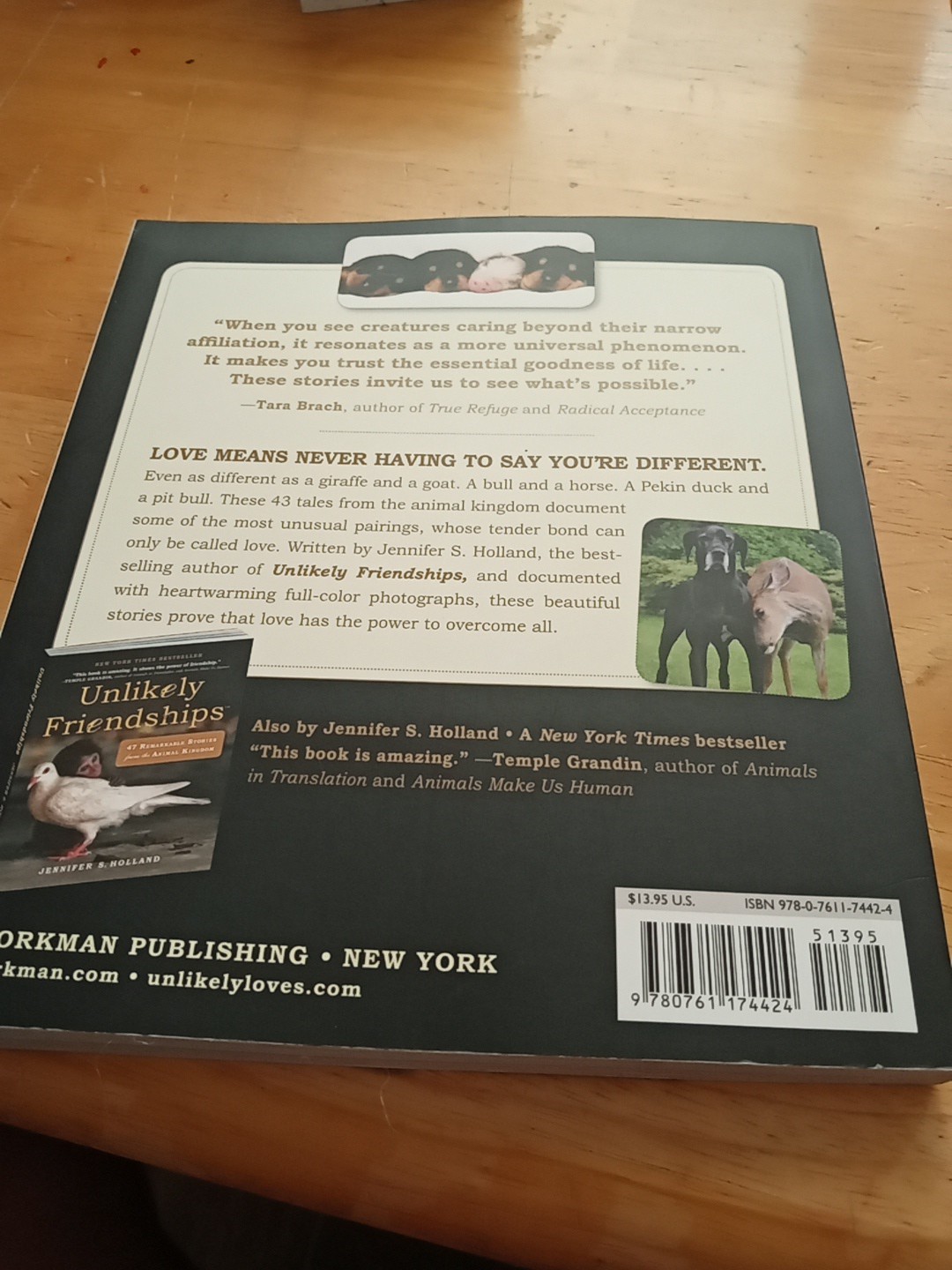 Unlikely Loves By Jennifer S. Holland (Paperback, 2013) 43 True Stories