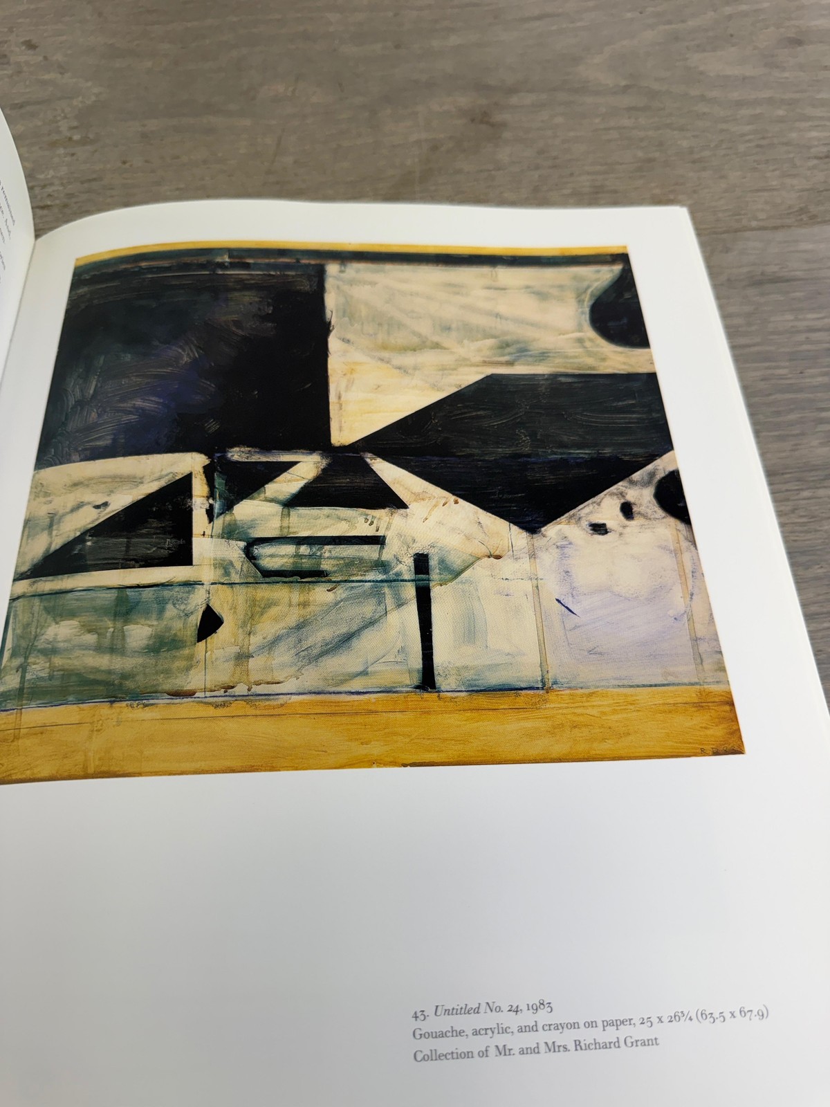 Vintage 1997 The Art Of Richard Diebenkorn Livingston HC DJ Whitney Illus USA