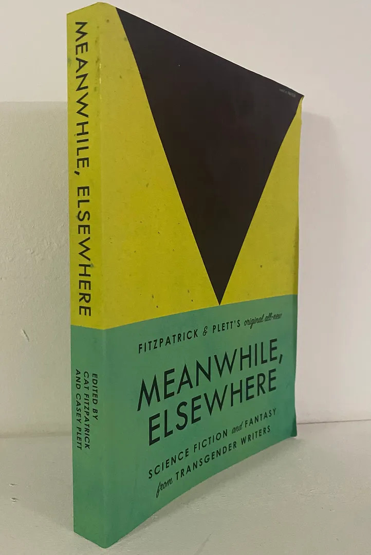 Meanwhile, Elsewhere: Science Fiction and Fantasy from Transgender Writers