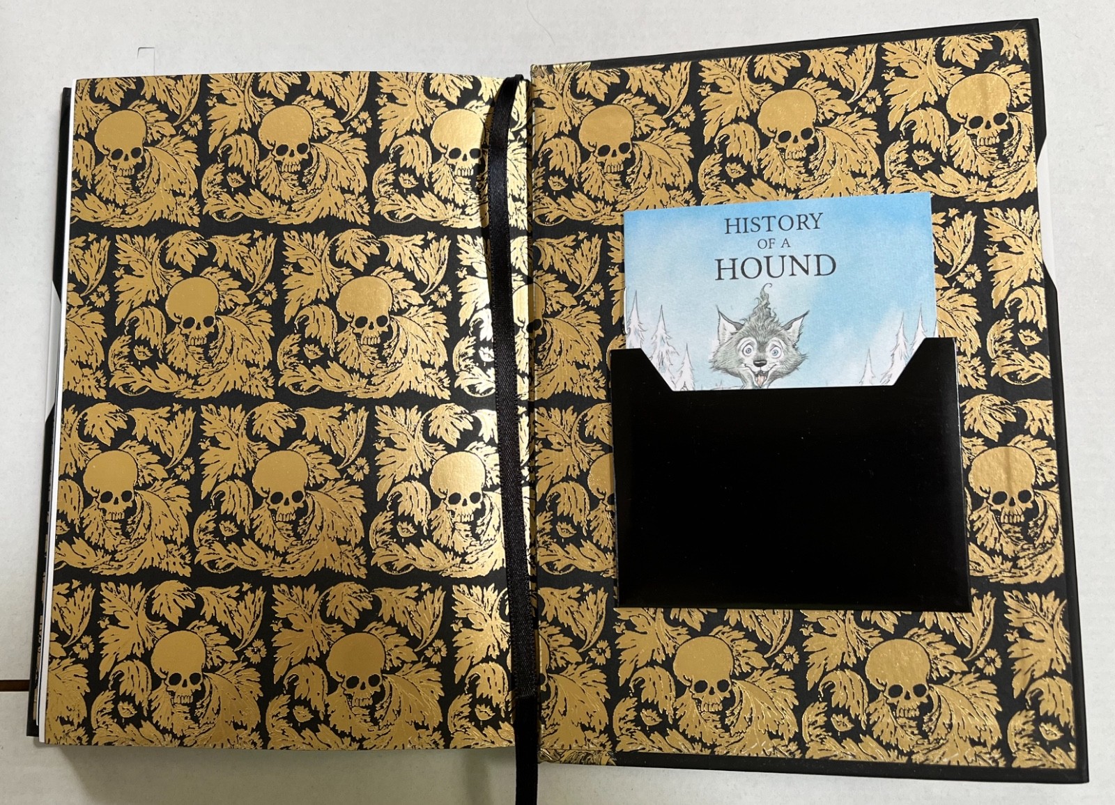 Goth Girl Series (4 books) – Chris Riddell – Hardcover