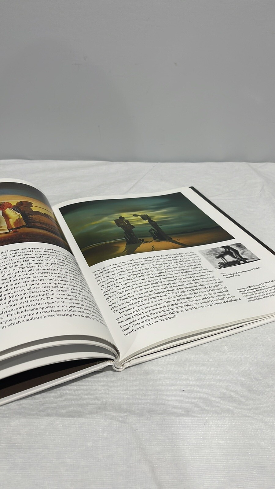 Salvatore Dali by Gilles Neret Taschen book 2012-2013 edition