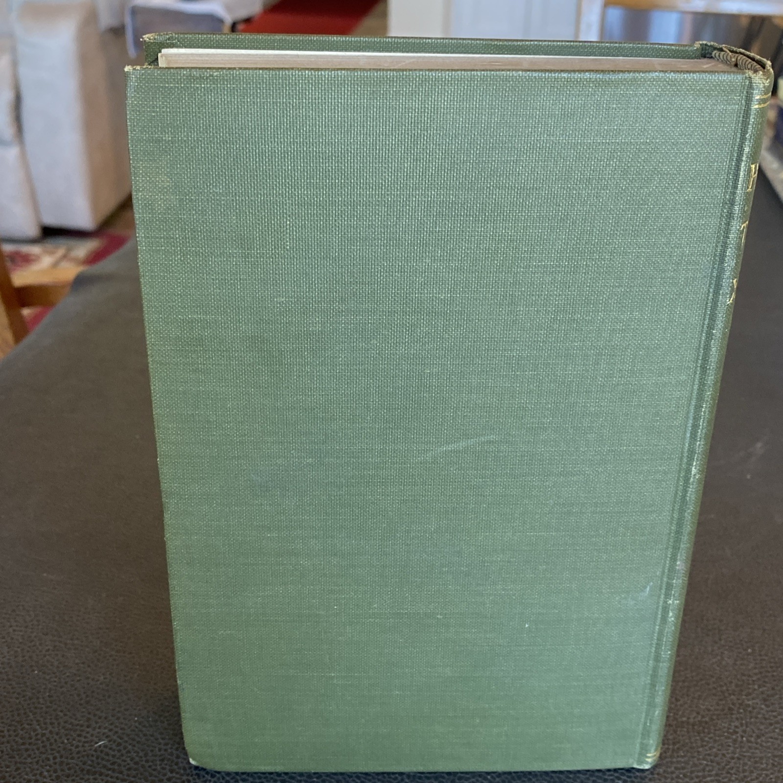 HOLINESS OF THE CHURCH IN THE 19TH CENTURY HC 1916 Saintly Men Women Of Our Time