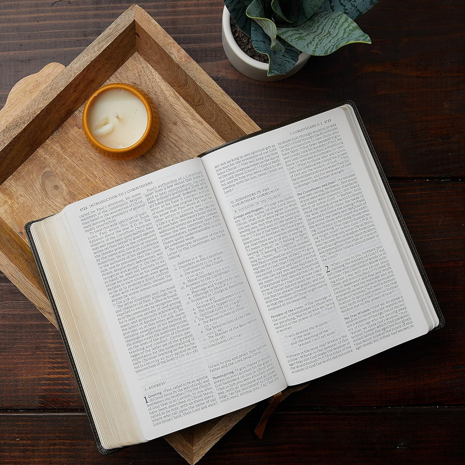 NABRE, New American Bible, Revised Edition, Catholic Bible, Large Print Edition,