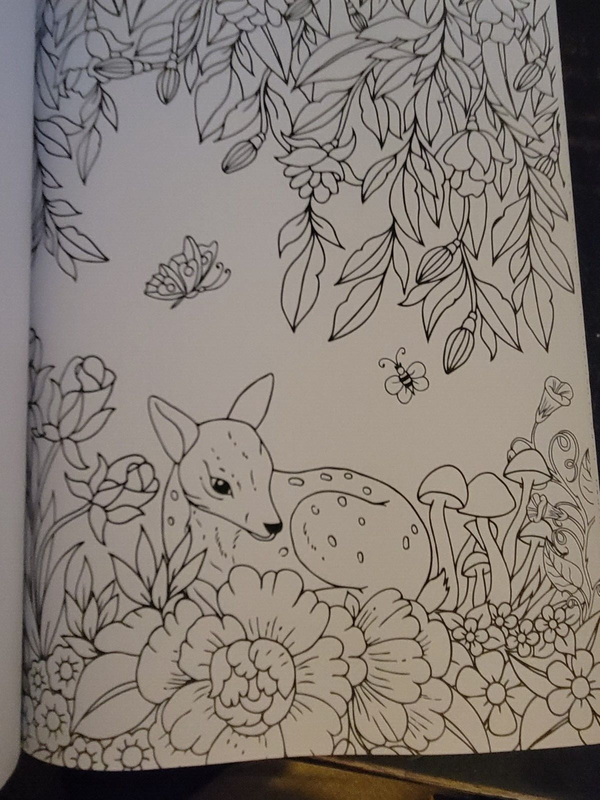 COLORS OF THE WILD Vol. 19 Adult Coloring Book With 47 Prints Ready To Frame!