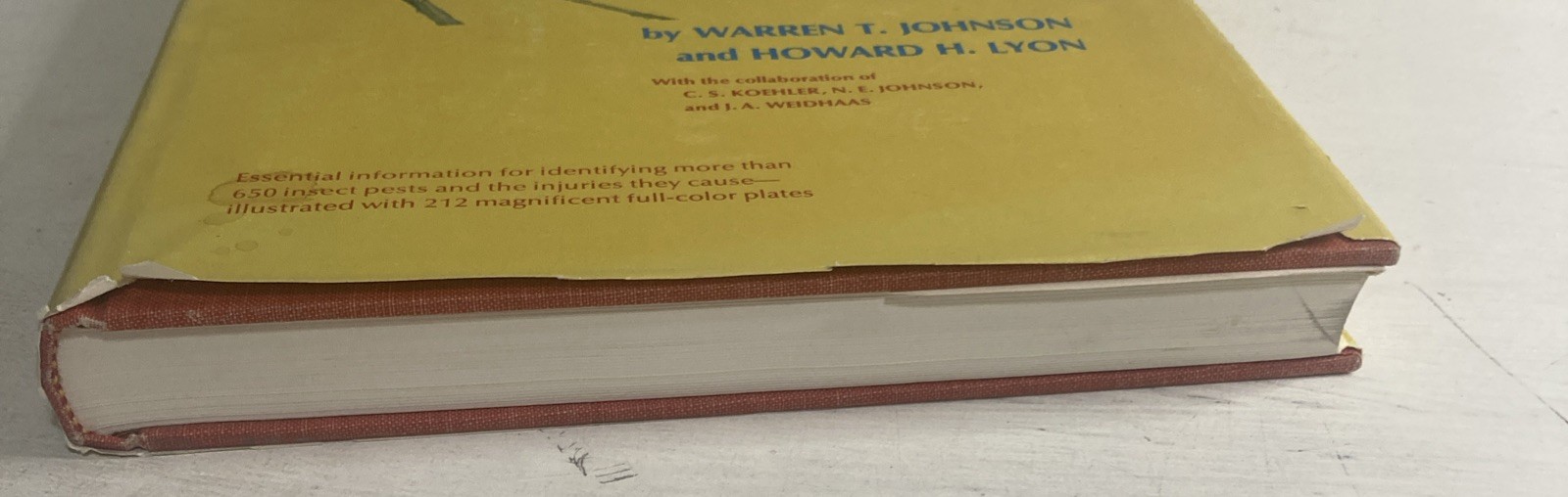 Insects That Feed On Trees and Shrubs by Warren Johnson + Howard H. Lyon HC/DJ