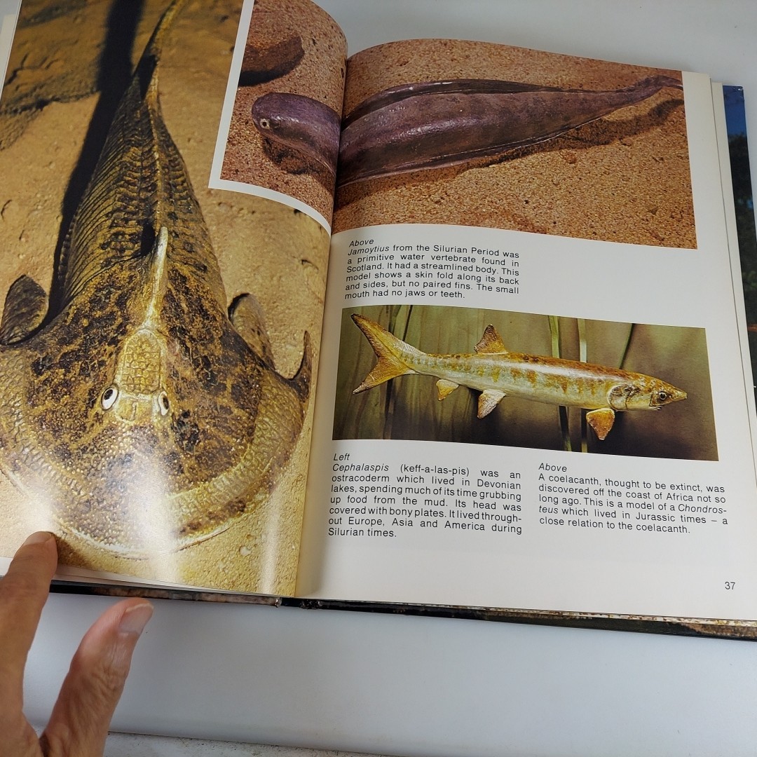 Prehistoric Monsters by Alfred Leutscher 1979 Octopus Books Illustrated HC