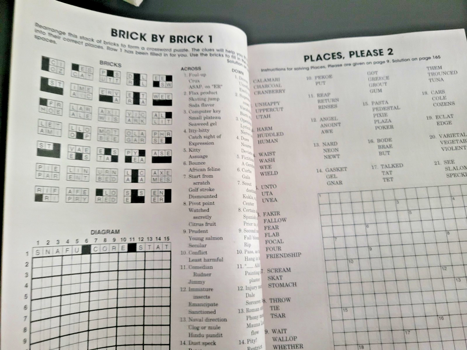 Lot of 2 Family Variety Puzzles & Games by Penny Press – Over 350 Puzzles Each!