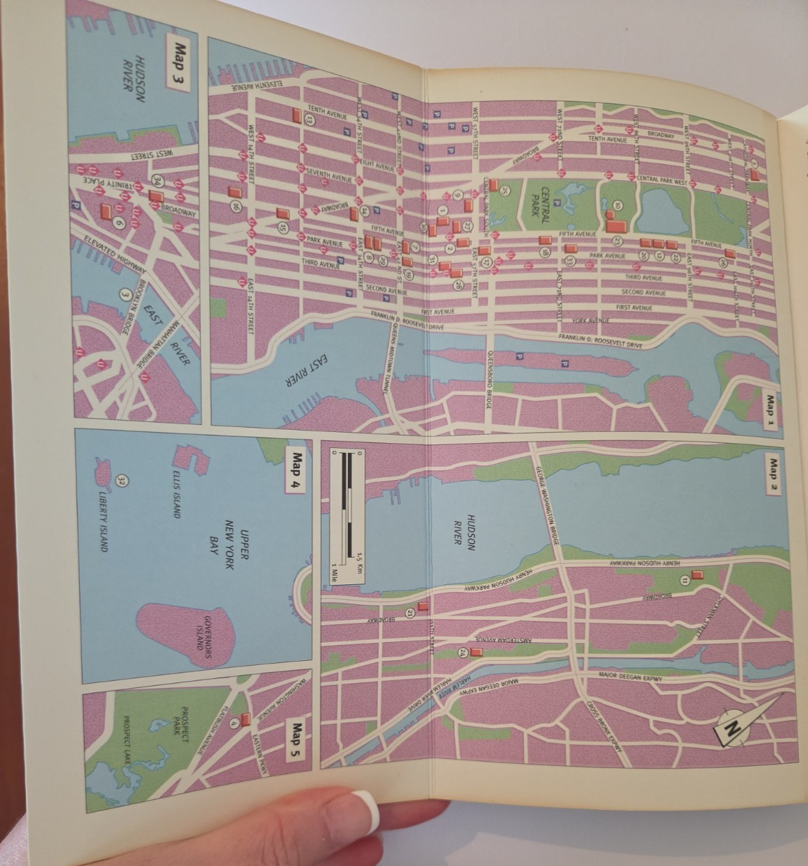 New York (Art in Focus) by Anna Gendel 1995 Bulfinch Press Art Travel Guide)