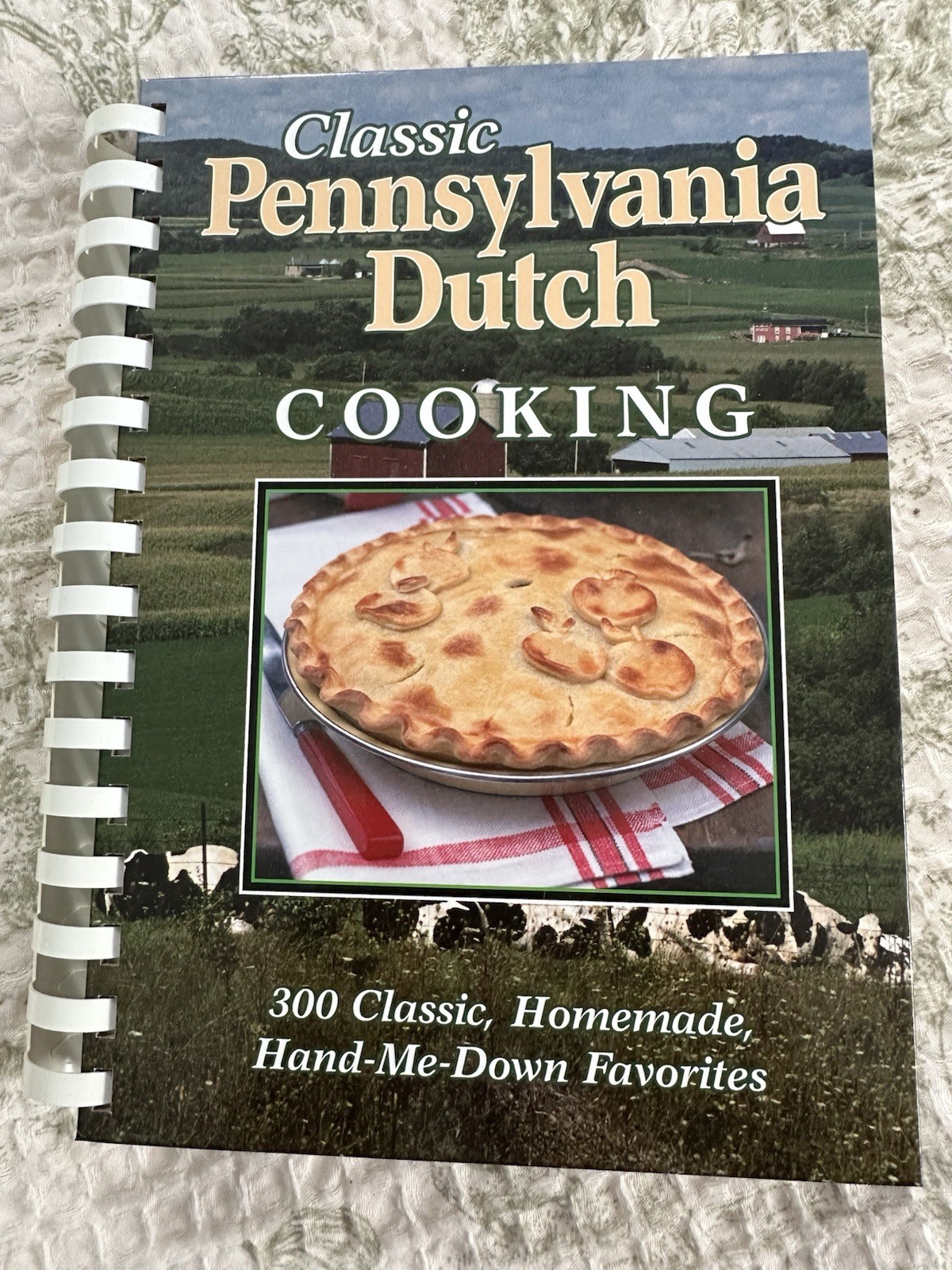 New Classic Pennsylvania Dutch cookbook From 1990, Perfect Condition White Pages