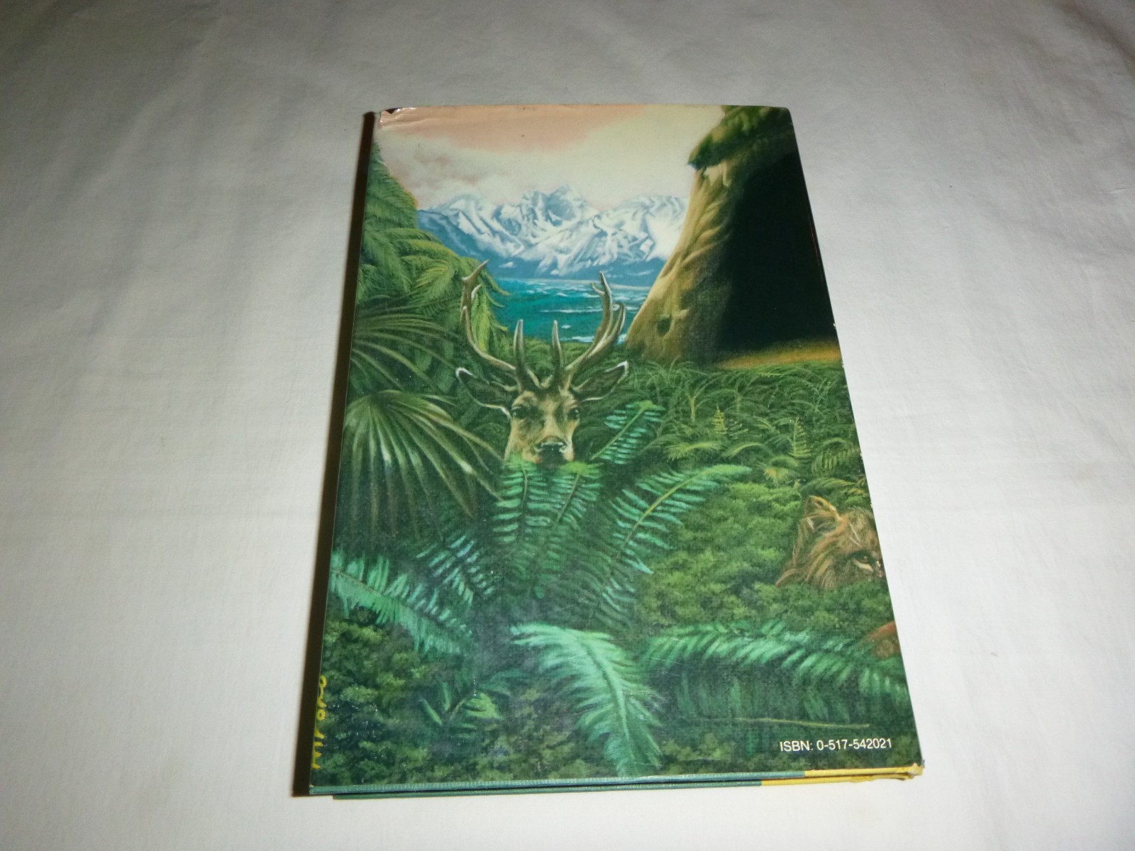 The Clan of the Cave Bear – 1st Ed. /1st Printing Jean M. Auel 1980 HC SIGNED