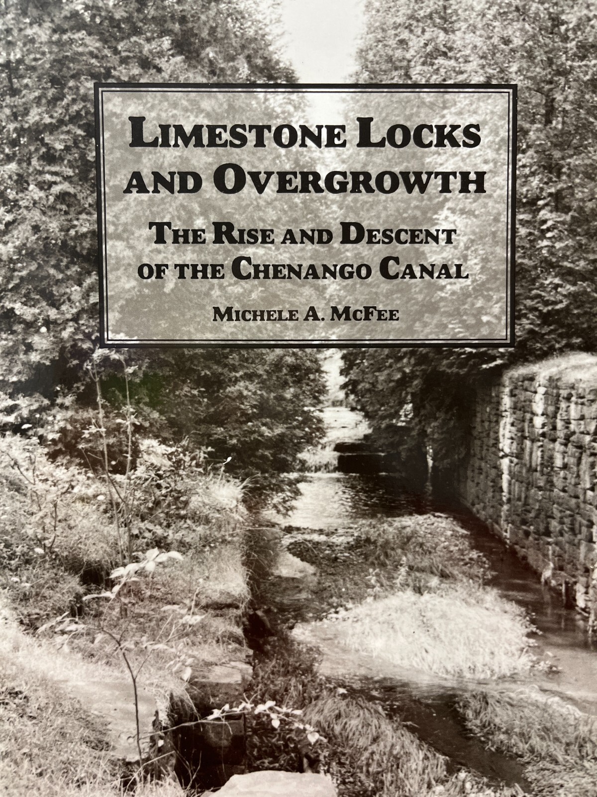 Limestone Locks and Overgrowth : The Rise and Descent of the Chenango Canal (pb)