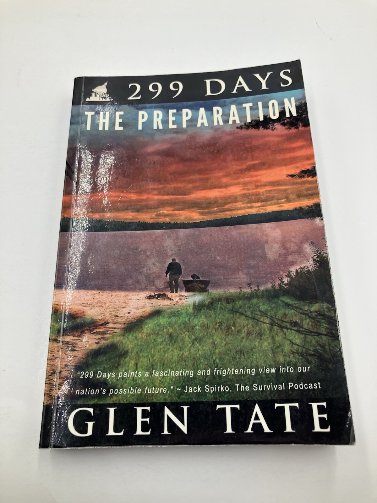Lot of 10 Glen Tate 299 Days Series Paperbacks Prepper Thrillers Government