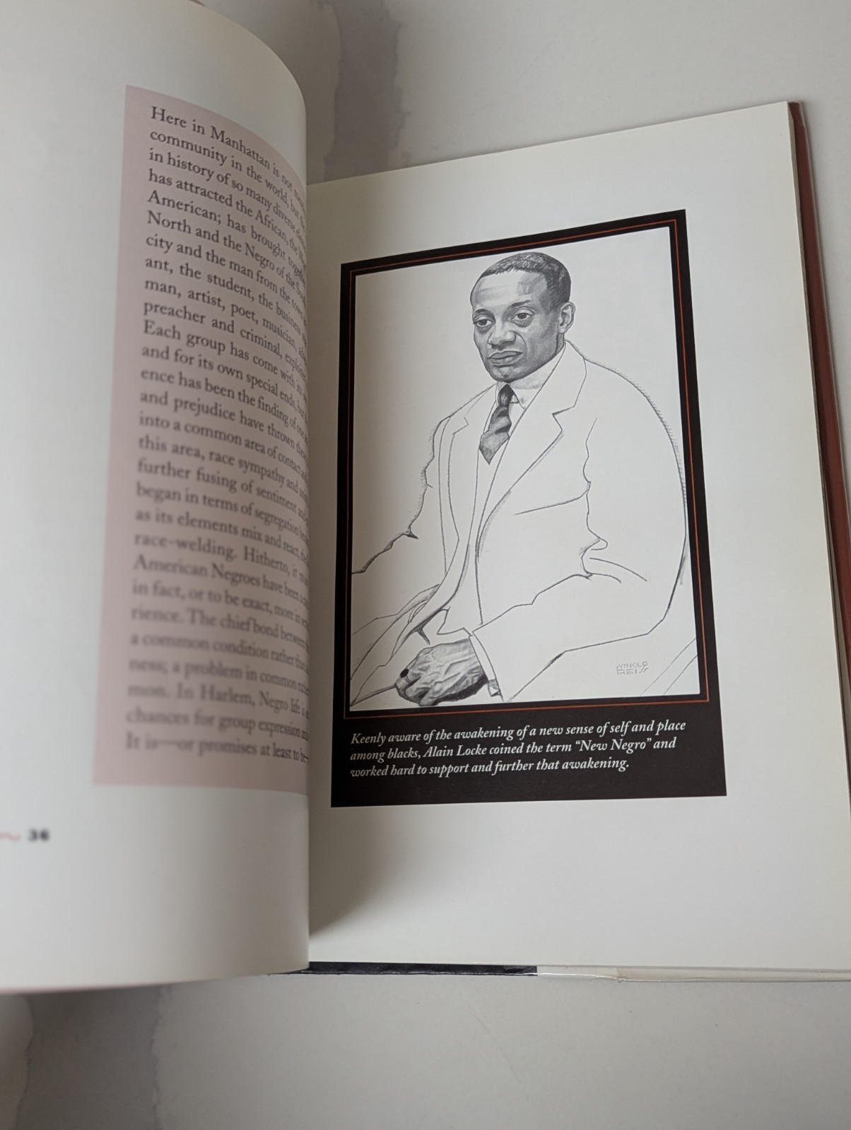 1996 Harlem Renaissance Jim Haskins HC Photos 192p Good Former Library Book