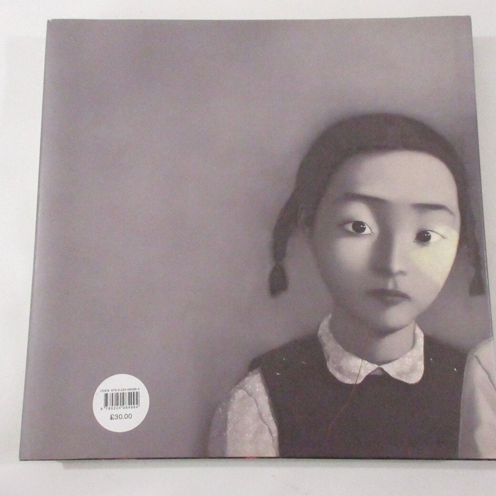 Modern Art In China The Revolution Continues New Chinese Artists Saatchi Gallery