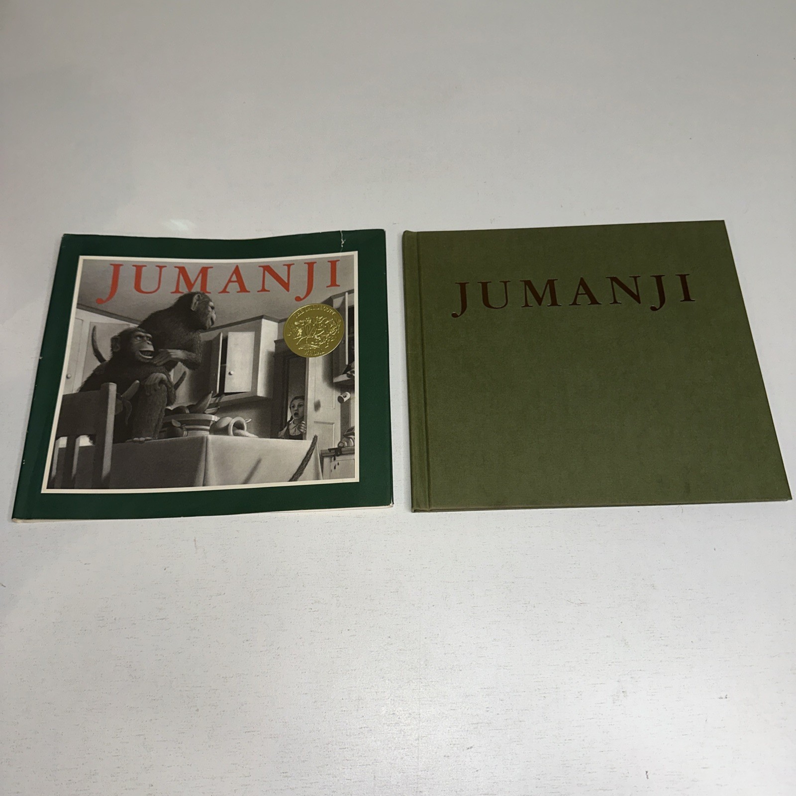 JUMANJI by Chris Van Allsburg, Caldecott Medal 1981, HC 1st Edition 19th Print