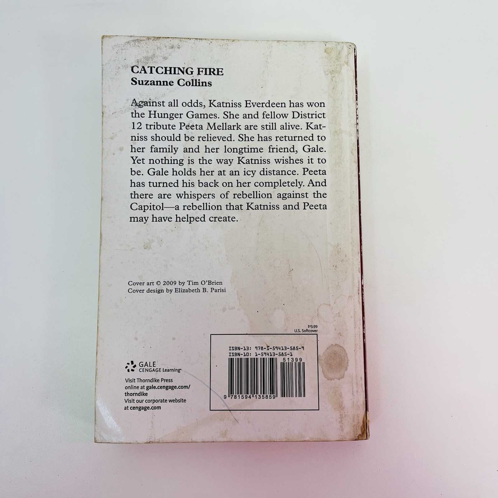 Catching Fire (Hunger Games) Large Print – Collins, Suzanne (LPB, 2009)