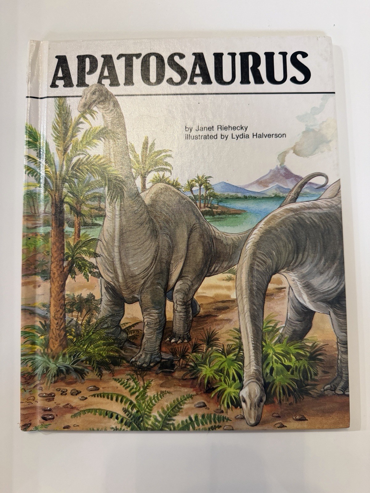 Lot of 7 Dinosaur Picture Books by Janet Riehecky Hardcover-Child’s World,Inc
