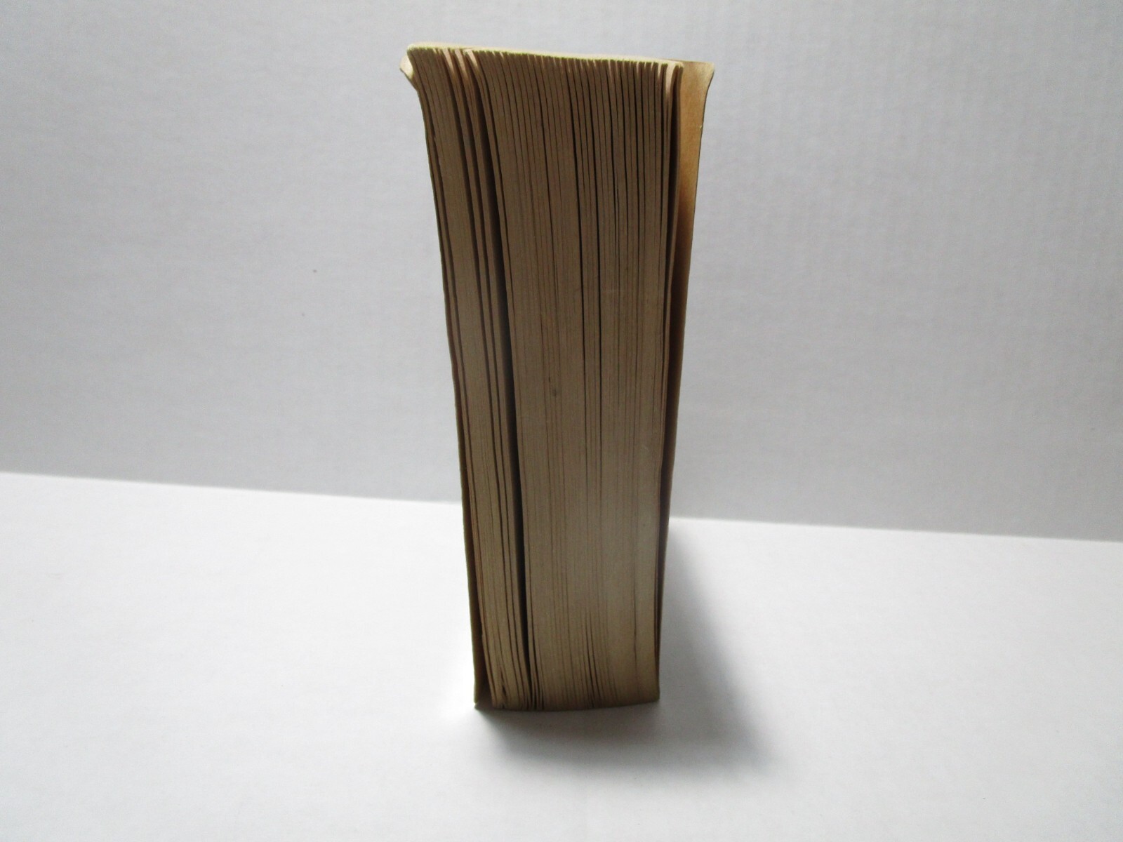 Battle Born – Dale Brown – Paperback