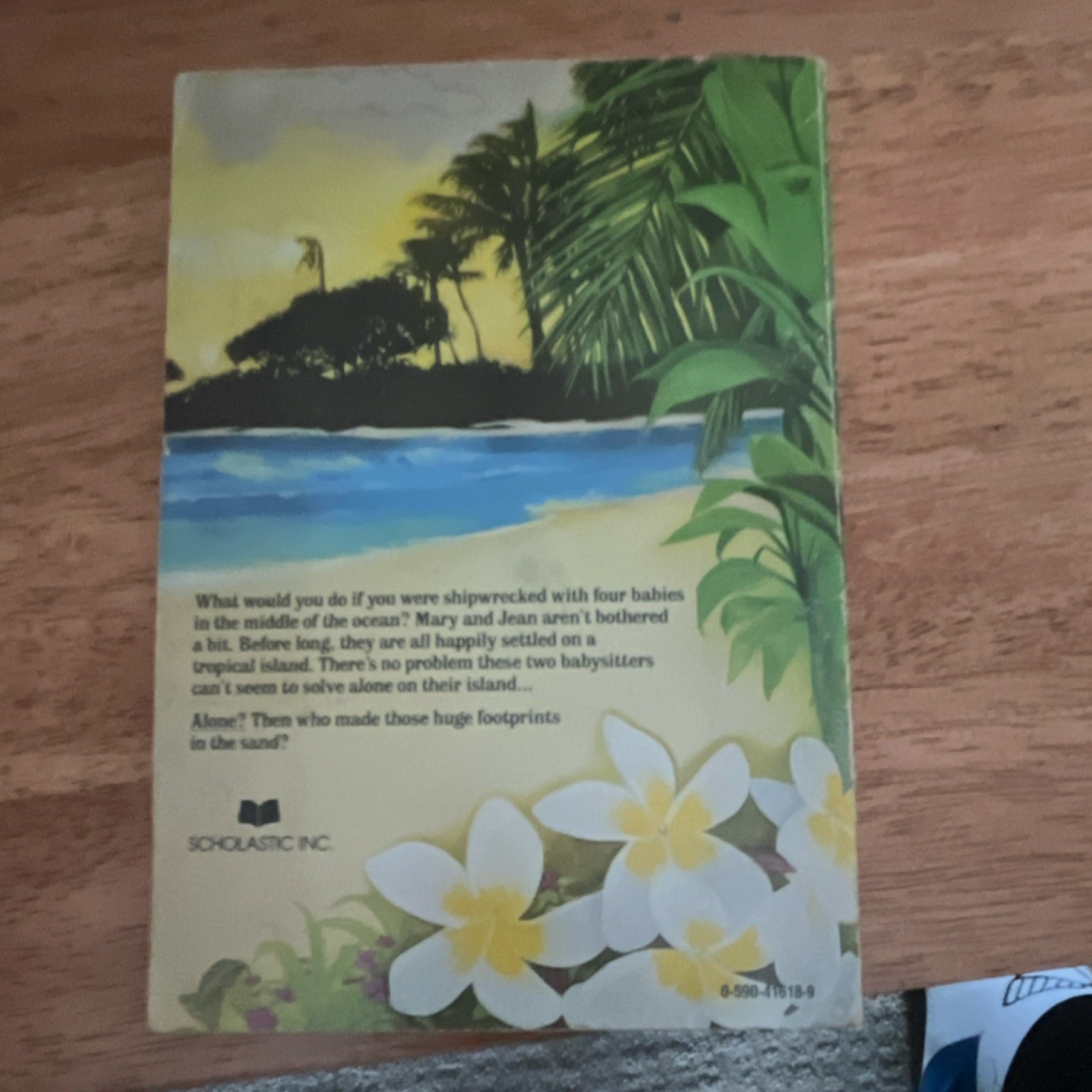 Scholastic Inc. Baby Island Carol Ryrie Brink Paperback Illustrated Novel