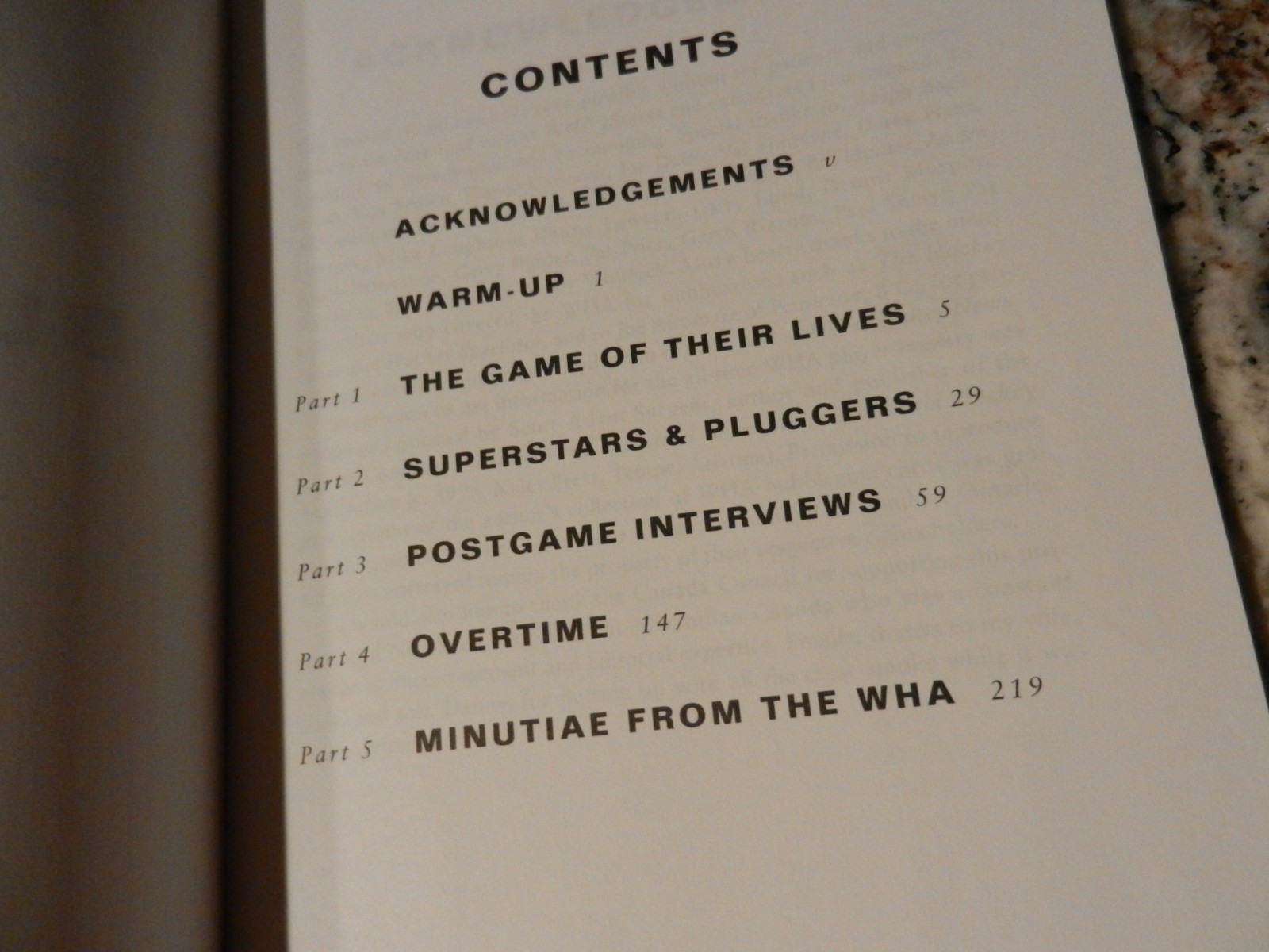 BIG BUCKS & BLUE PUCKS 1997 book WORLD HOCKY ASSOCIATION Murray Greig WHA