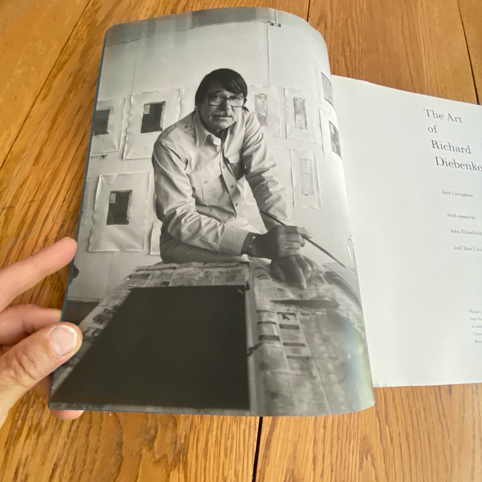 The Art of Richard Diebenkorn Jane Livingston Paperback 1997