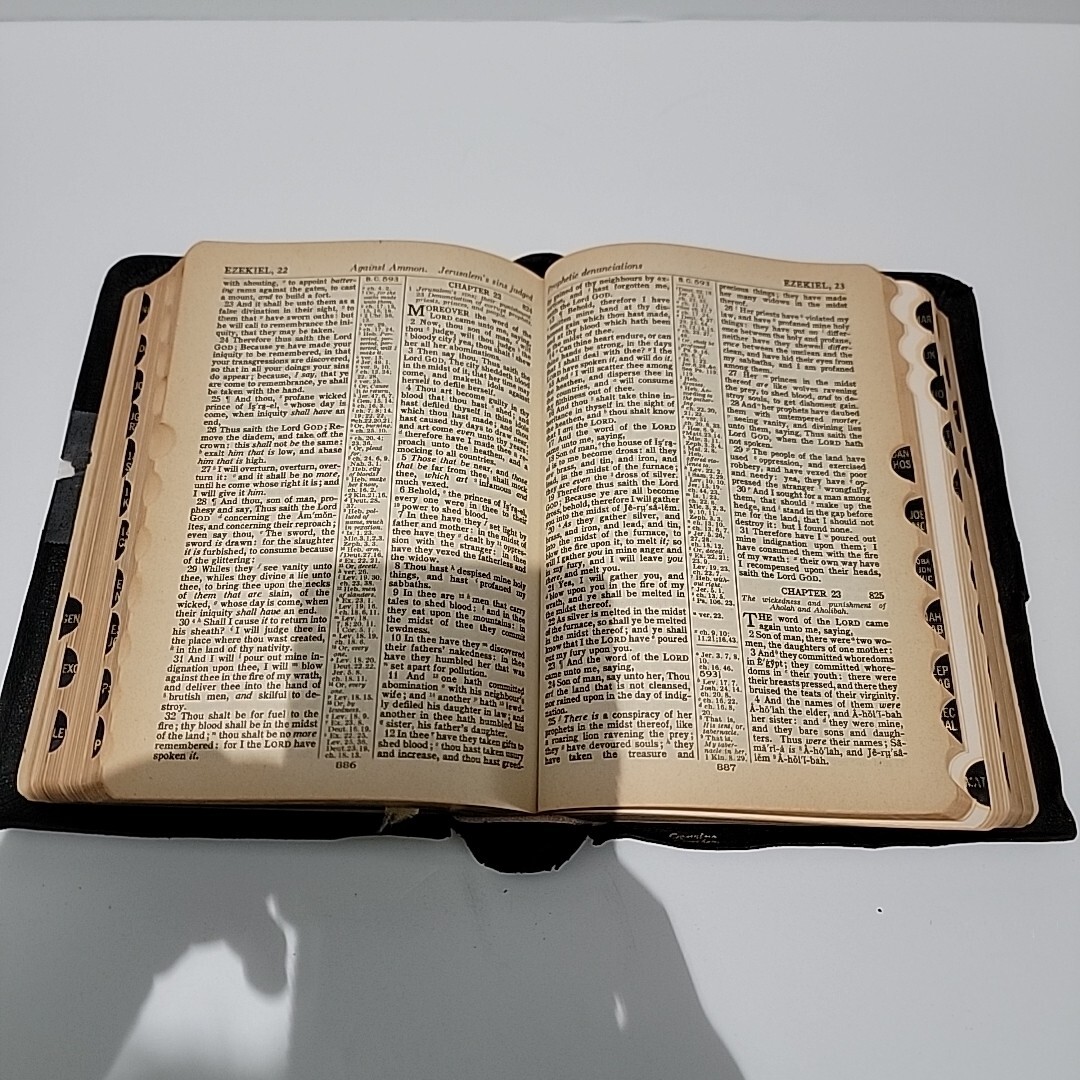 HOLY BIBLE National Bible Press Pronouncing Red Letter National