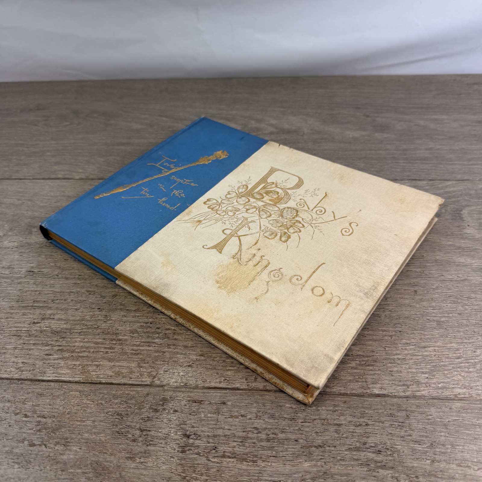 Vintage 1897 Baby’s Kingdom Annie F. Cox Baby Memory Book Hardcover Boston MA