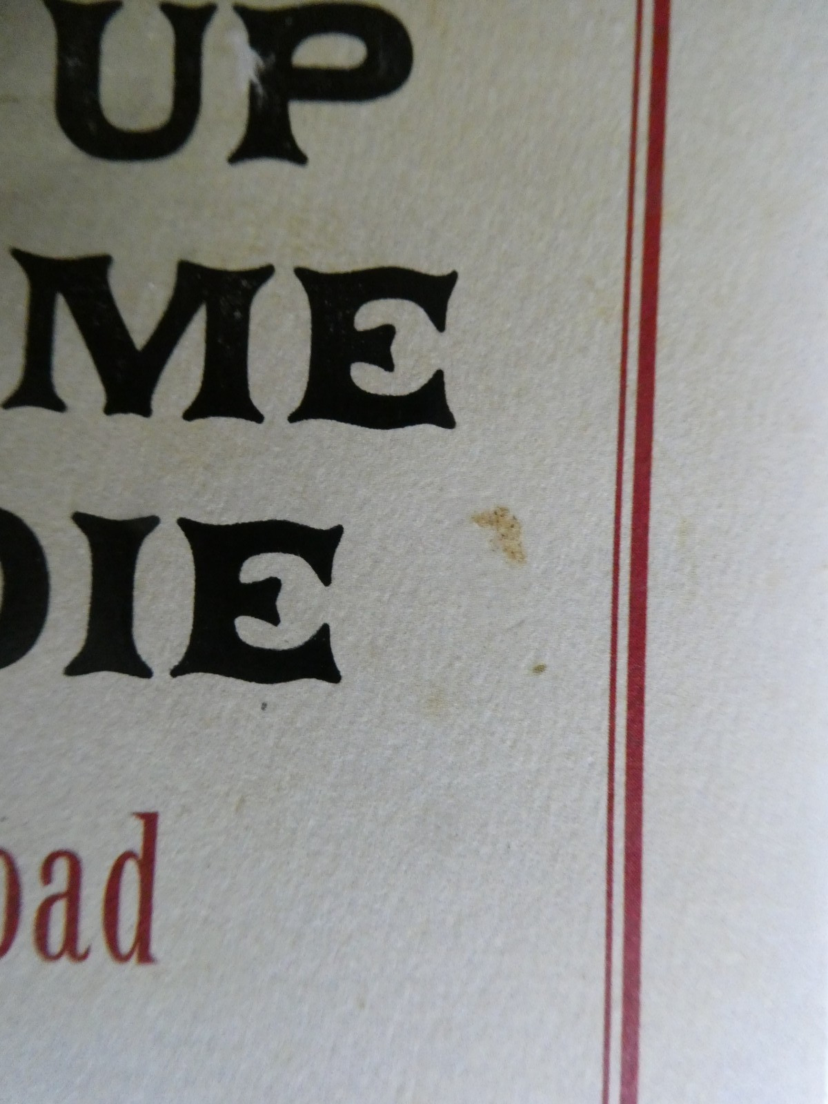 Willie Nelson Double Facsimile Signed Roll Me Up & Smoke Me 1st Ed 10th Printing