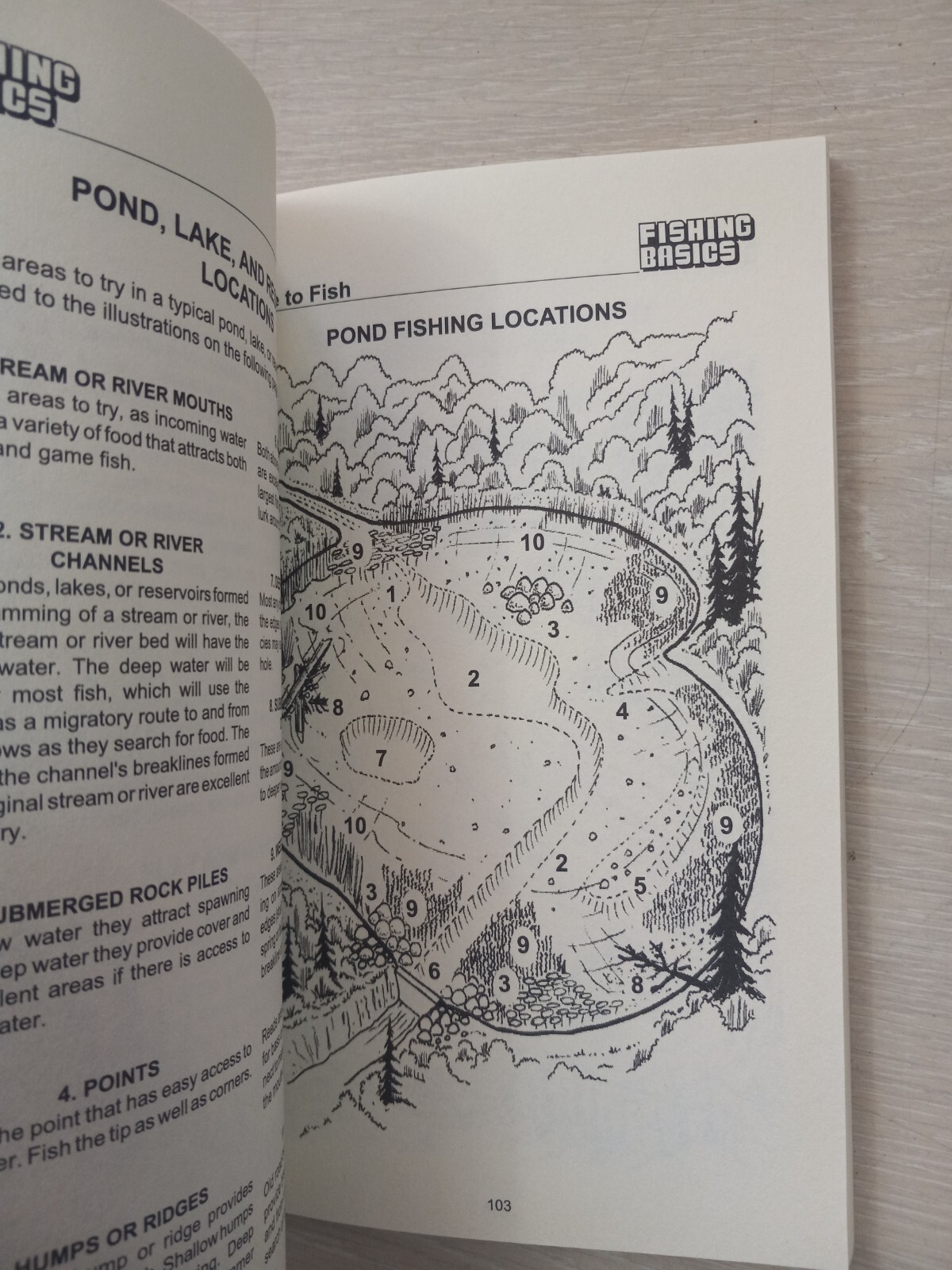Fishing Basics the Complete Illustrated Guide by Kugach, Gene 1993