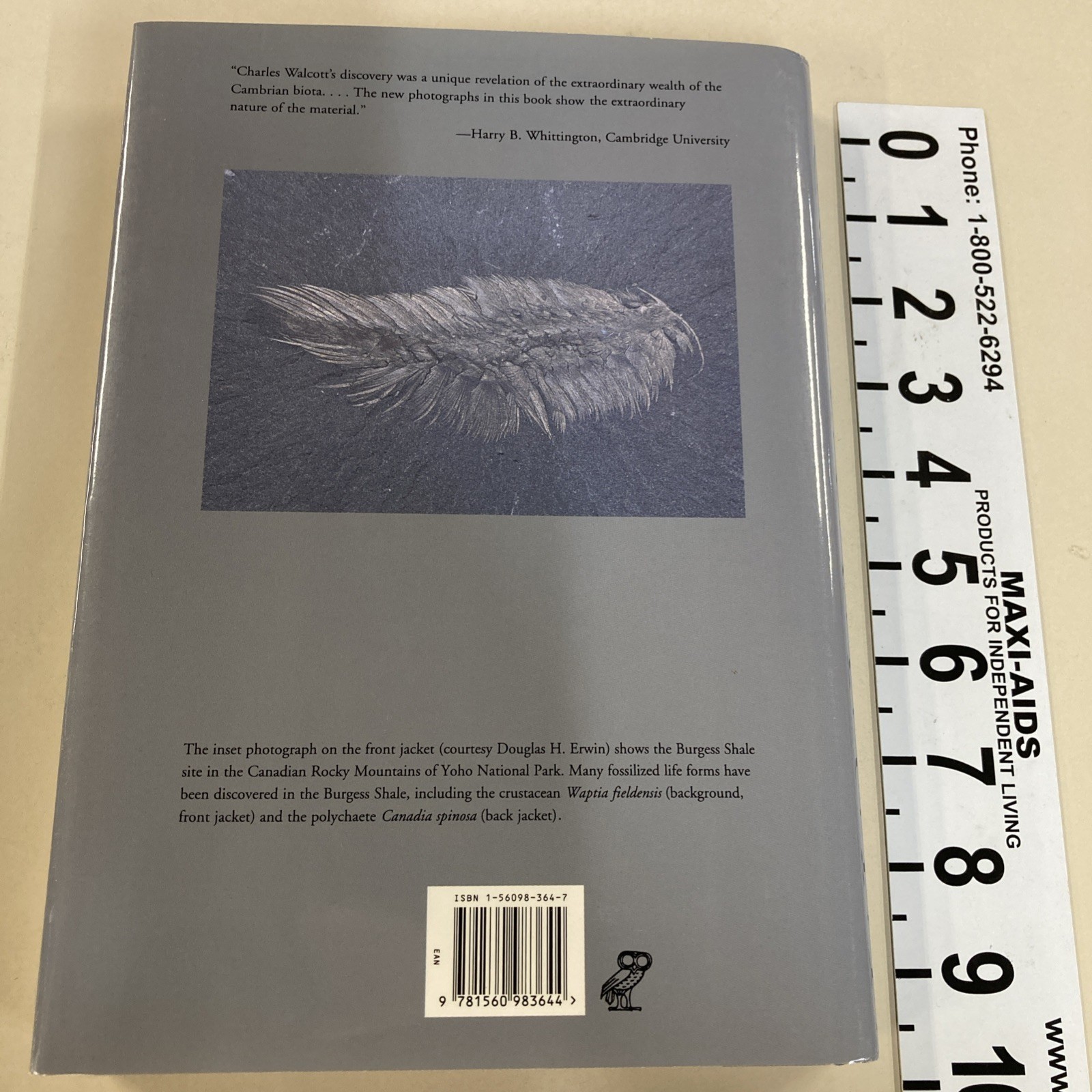 Fossils of the Burgess Shale HC DJ Collier, Erwin & Briggs 1994 Smithsonian Good
