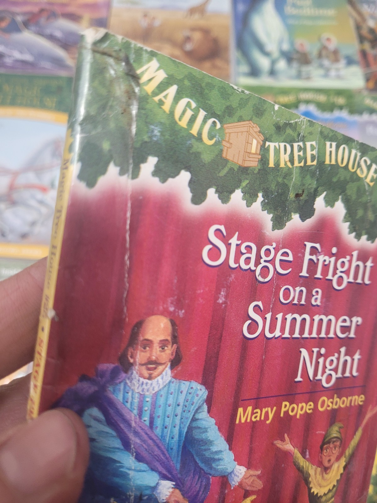 Magic Tree House Paperback Lot of 23 (Various One Duplicate) See Description!