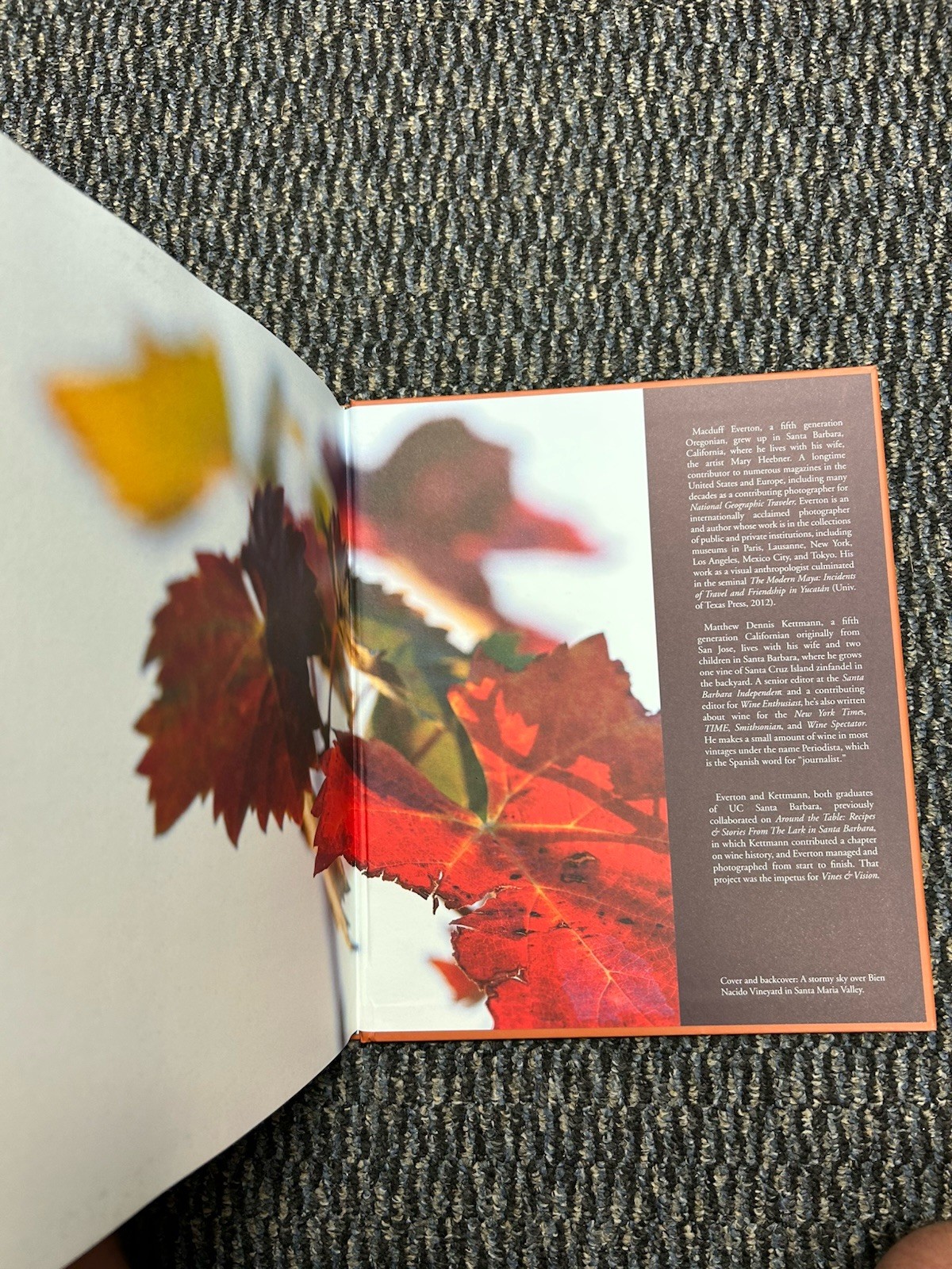 Vines & Vision : The Winemakers of Santa Barbara County by Matthew Kettmann