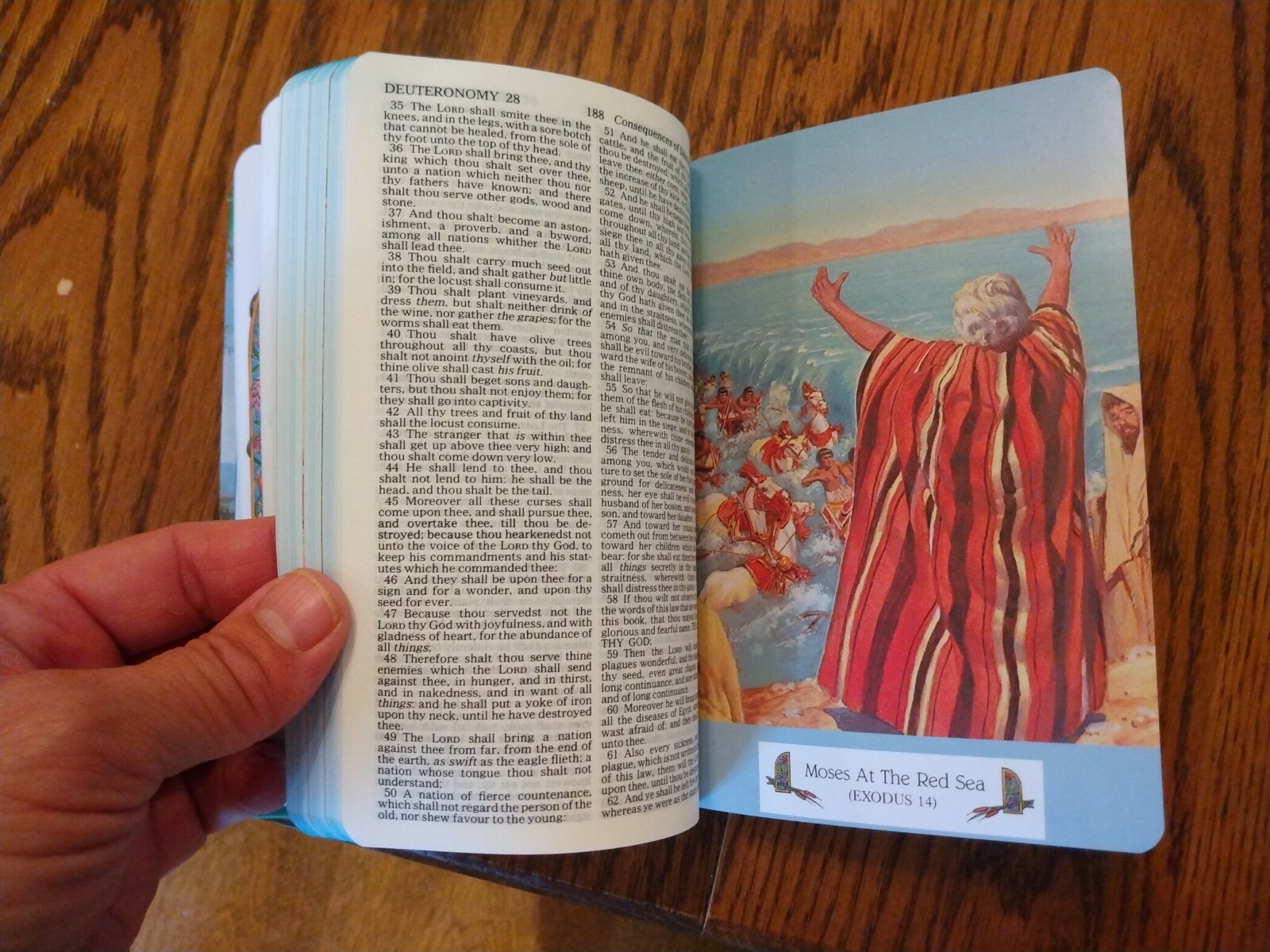 Children’s Bible KJV Seaside Bible Illustrated Nelson Hardcover blue edge