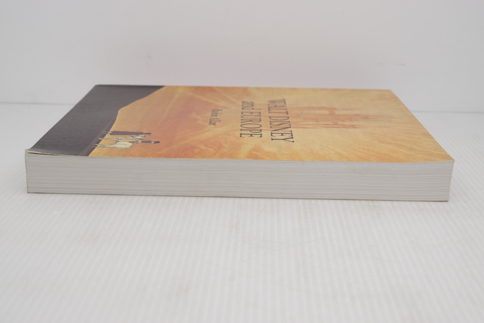 Walt Disney and Europe by Robin Allen 1999 SC First Printing Indiana Univ Press