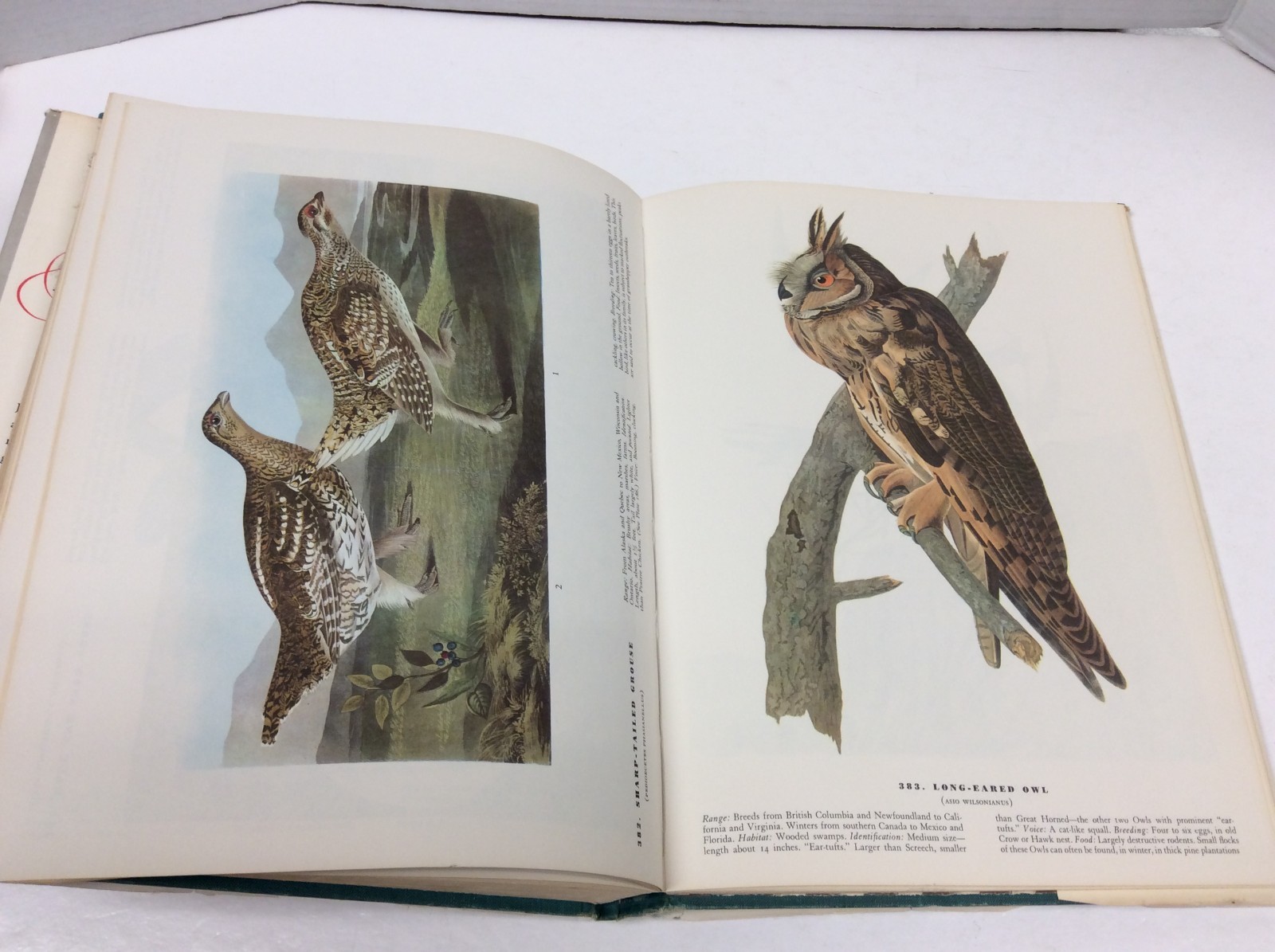 THE BIRDS OF AMERICA John James Audubon Illustrated HC 1967