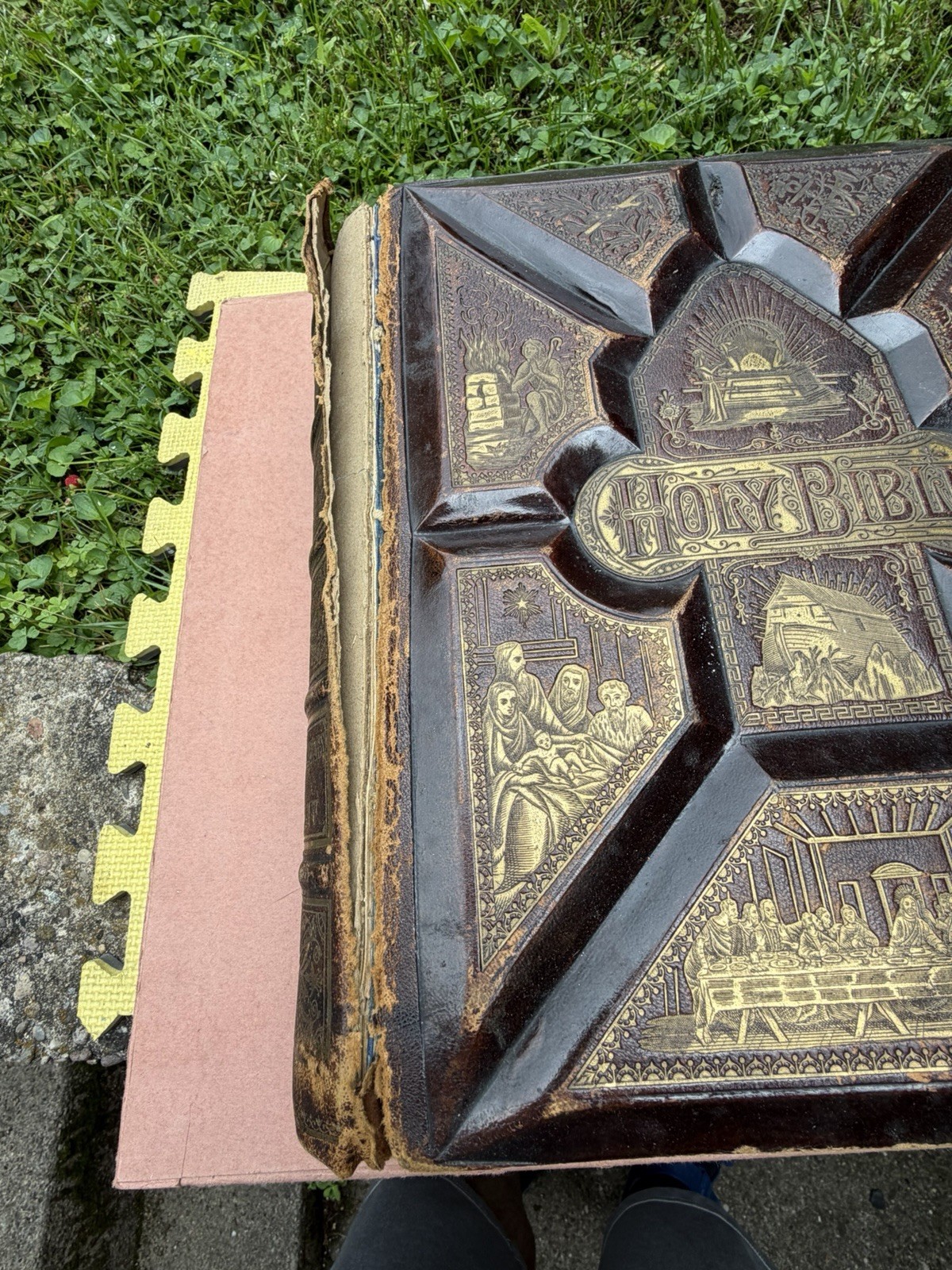 Victorian Holy Bible 1881 FM Dillie Co Cincinnati OH Pictorial Family RARE HEAVY