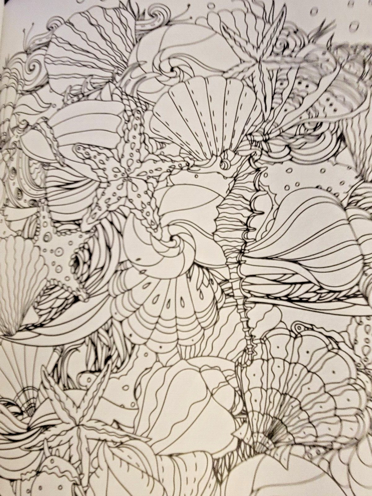 COLORS OF THE WILD! Vol. 16 Adult Coloring Book With 47 Prints Ready To Frame!