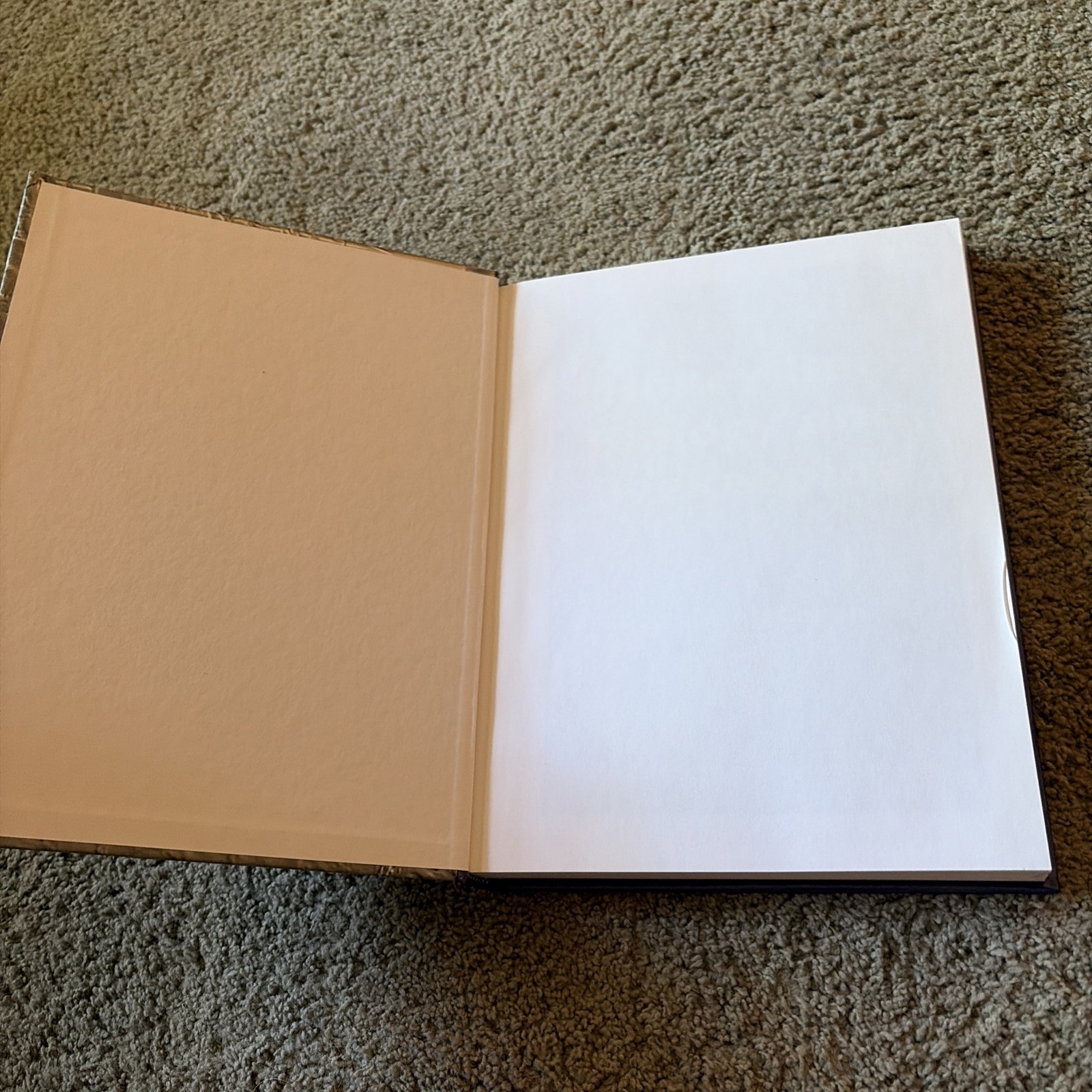 Honey Bee Biology and Beekeeping by Dewey M. Caron (2006 Hardcover)