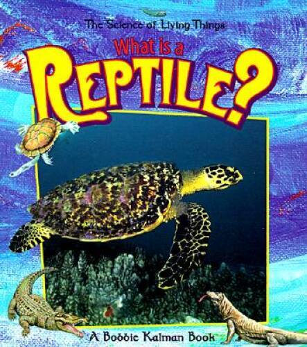 What Is a Reptile? (Science of Living Things) – Paperback – GOOD