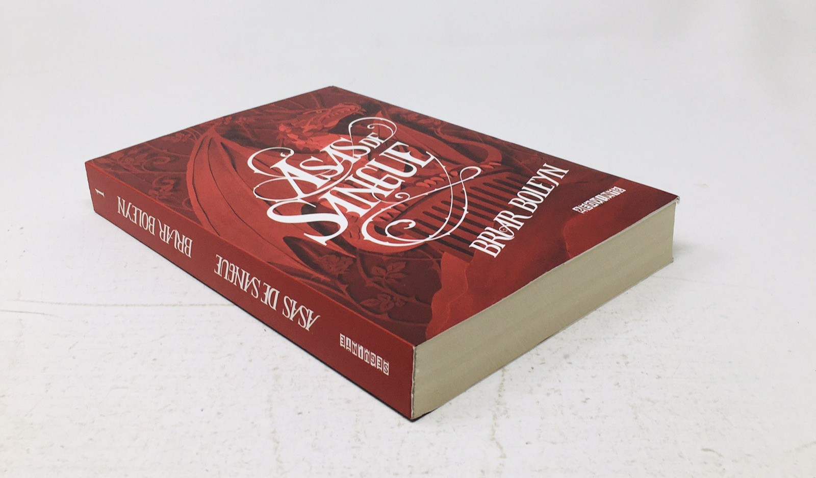 Asas de Sangue On Wings of Blood Briar Boleyn in Portuguese Lng YA Fantasy Vol 1
